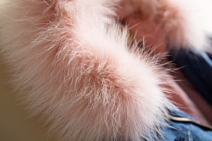 1611015 denim coat witrh rex rabbit fur lining with raccoon fur hood trimming eileenhou (8)