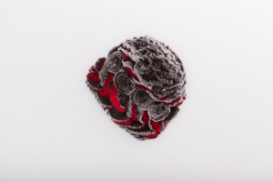 1704111 rex rabbit fur knitting hat eileenhou lvcomeff (12)