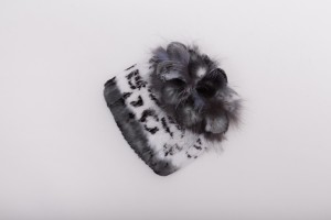 1704122 rex rabbit fur hat with fox fur eileenhou lvcomeff (18)